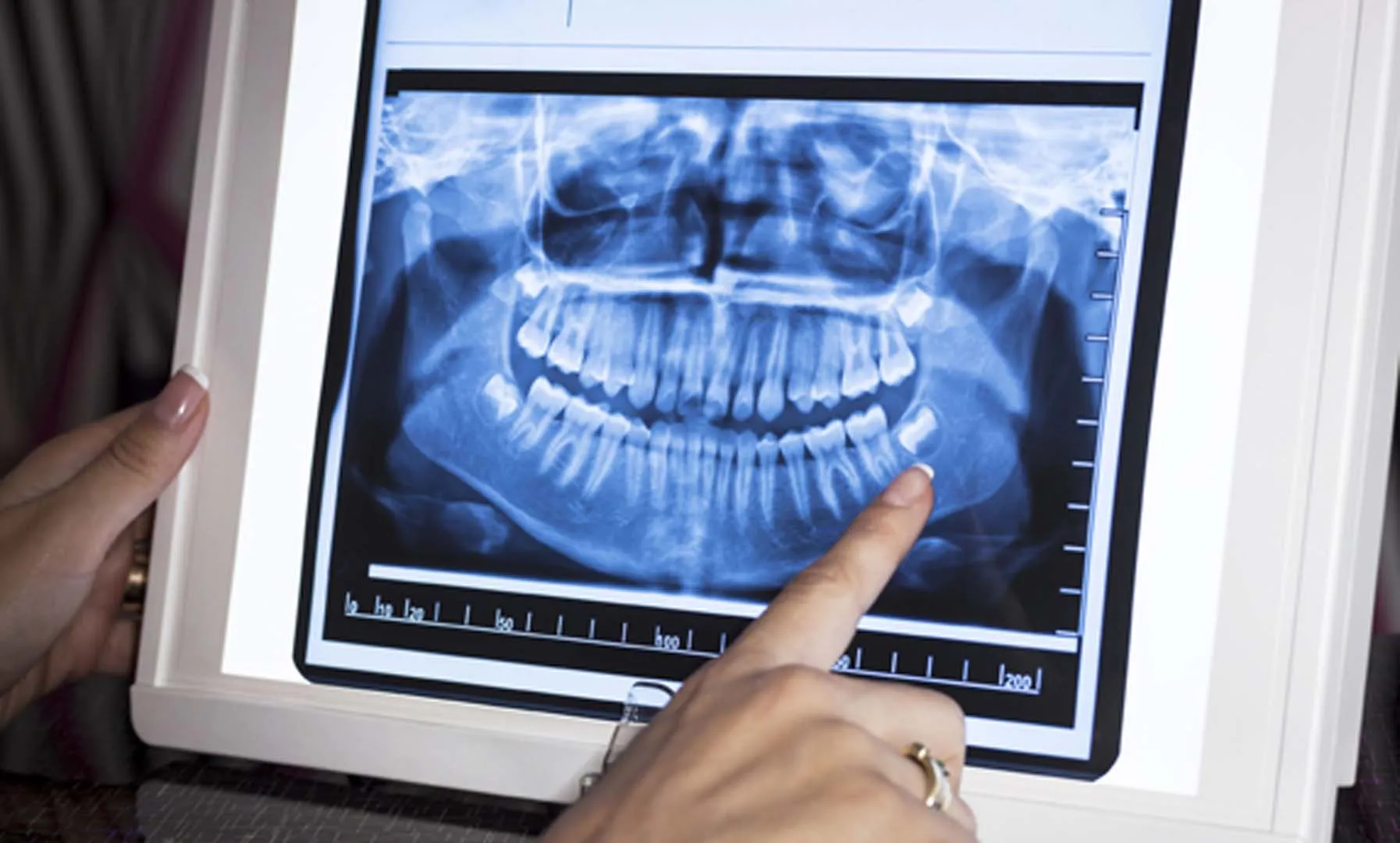 A welcoming dental office environment