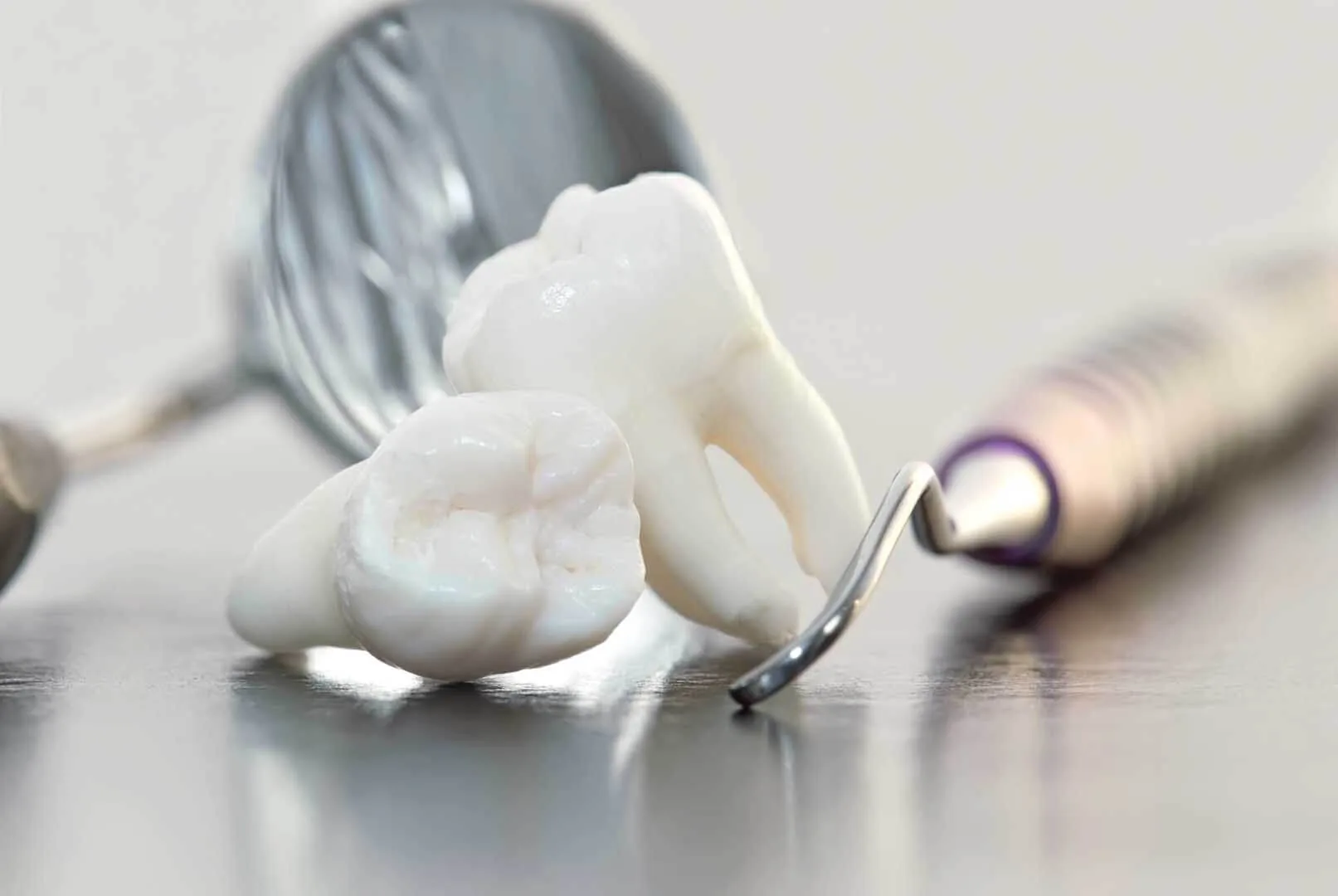 Welcoming dental care at Wicker Park Dental Studio